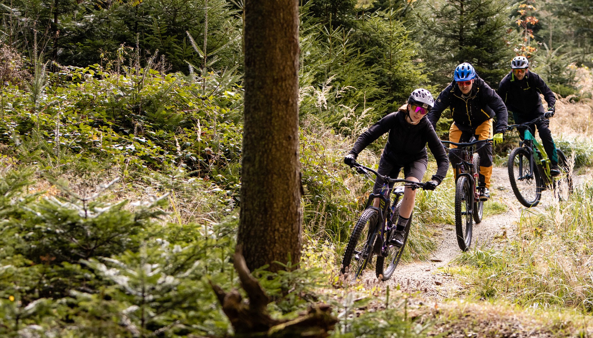 Funbase_SommerComparison